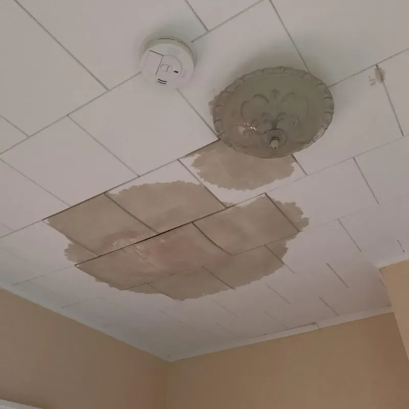 Ceiling Water Damage Repair in Richland, PA