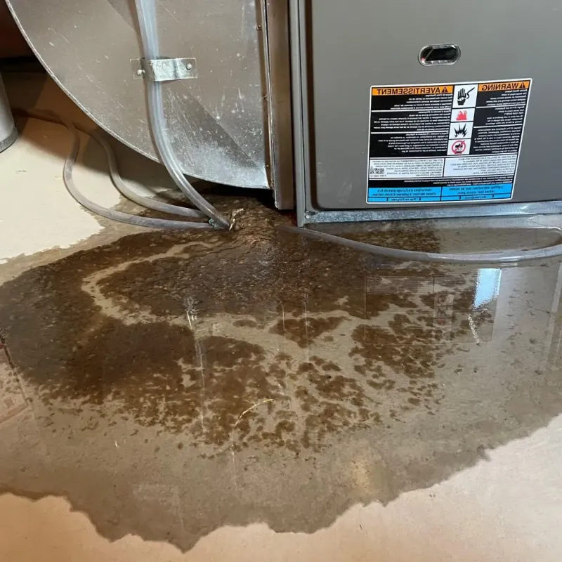 Pipe Burst and Leak Restoration in Richland, PA