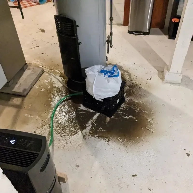 Sewage Backup Cleanup Service in Richland, PA